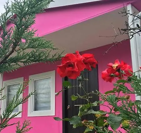 Konukevi Alaska Bungalow Sapanca