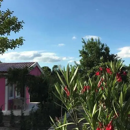 Konukevi Alaska Bungalow